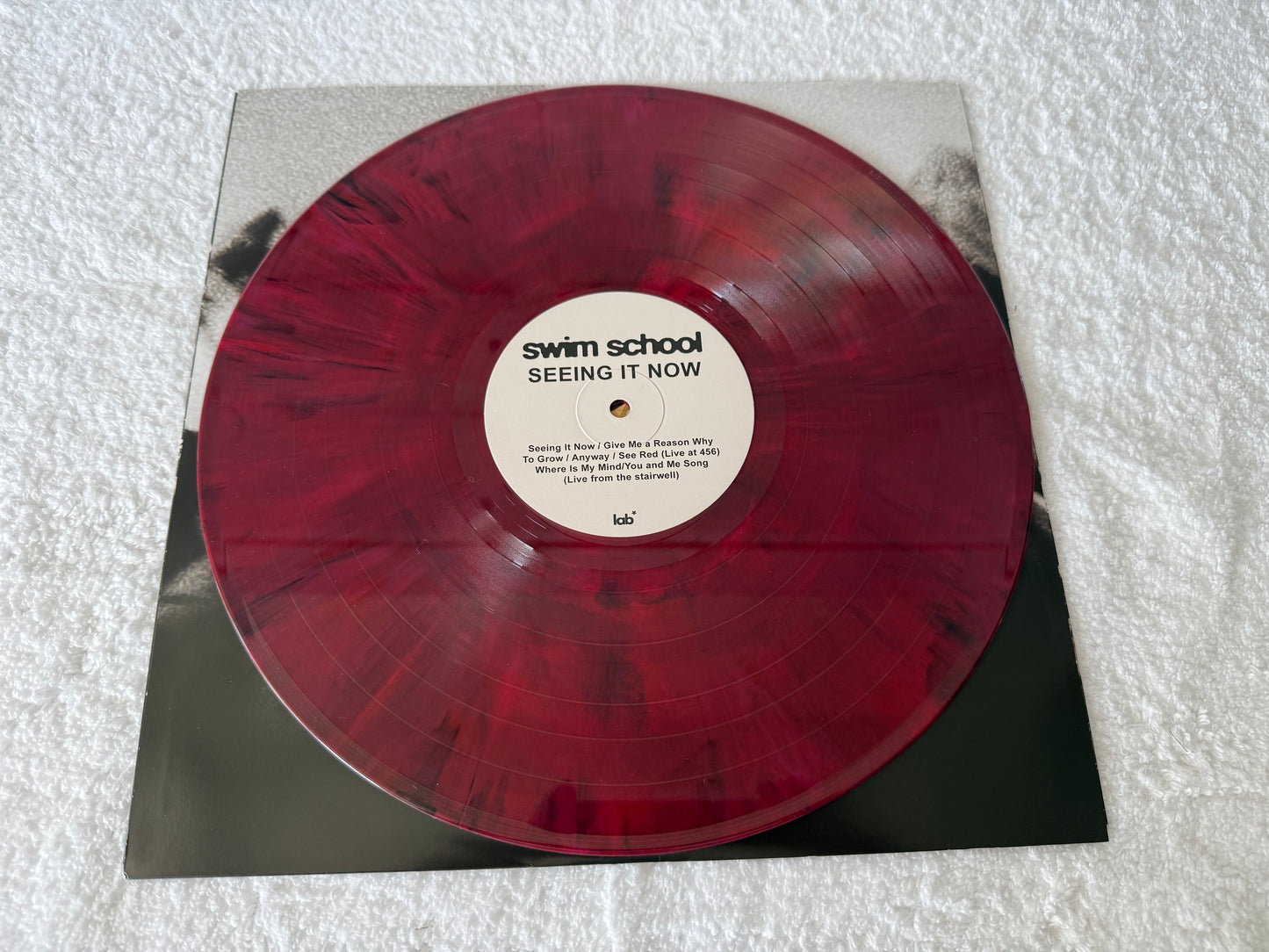 Swim School – Duality & Seeing It Now : LP