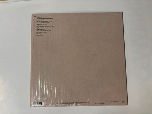 English Teacher - This could be texas : Transparent Vinyl