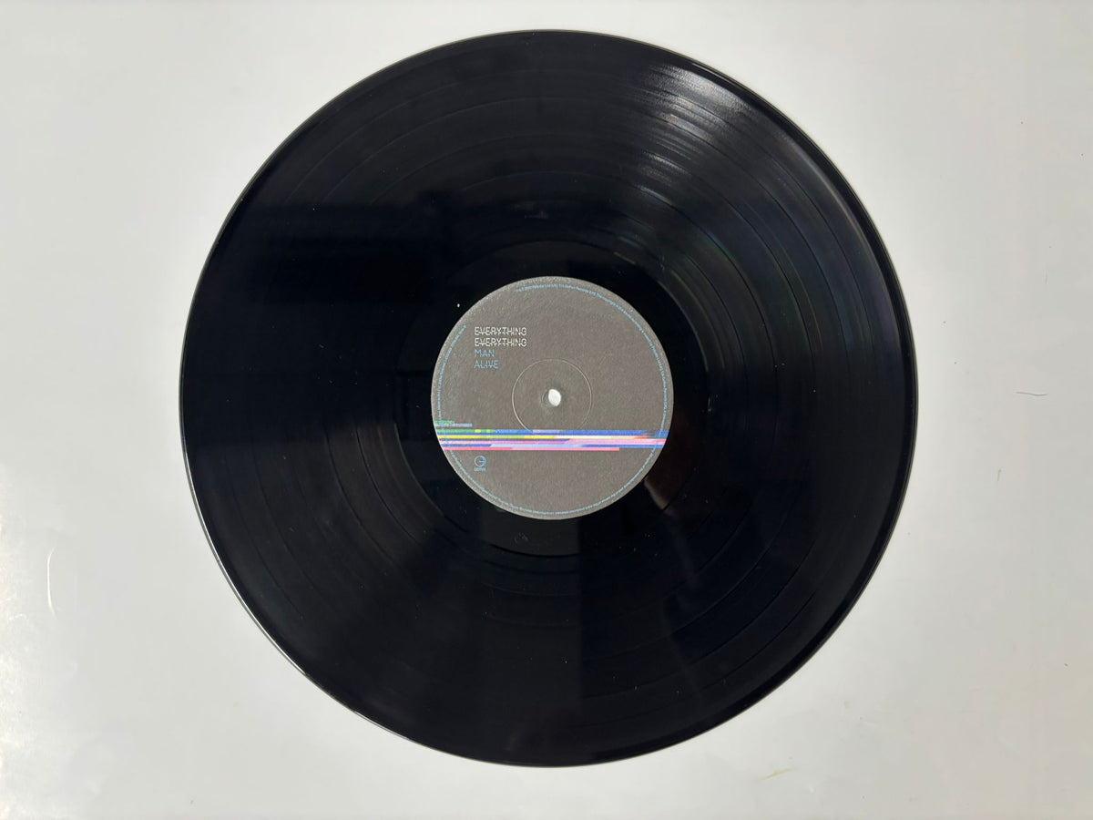Everything Everything : Man Alive OG Double LP
