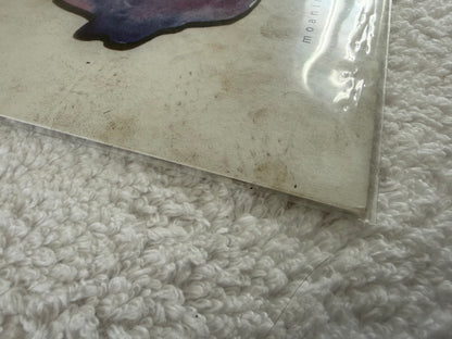 Wolf Alice – Moaning Lisa Smile : 7”