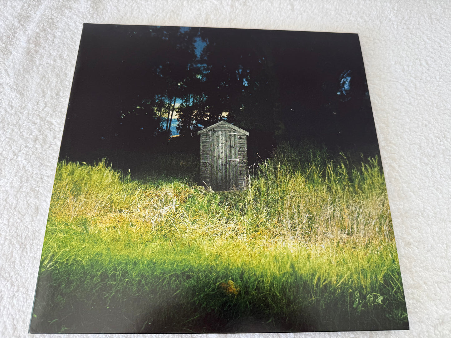 Frank Carter & The Rattlesnakes – Dark Rainbow : LP