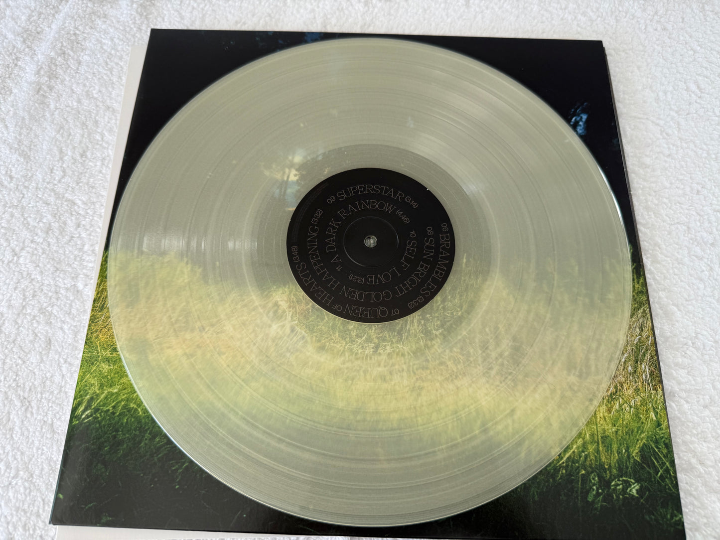 Frank Carter & The Rattlesnakes – Dark Rainbow : LP
