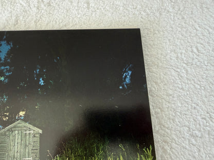 Frank Carter & The Rattlesnakes – Dark Rainbow : LP