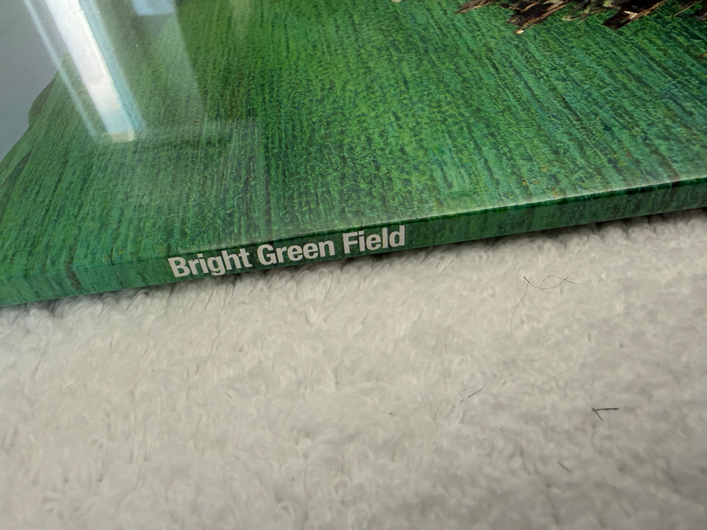 Squid – Bright Green Field : LP