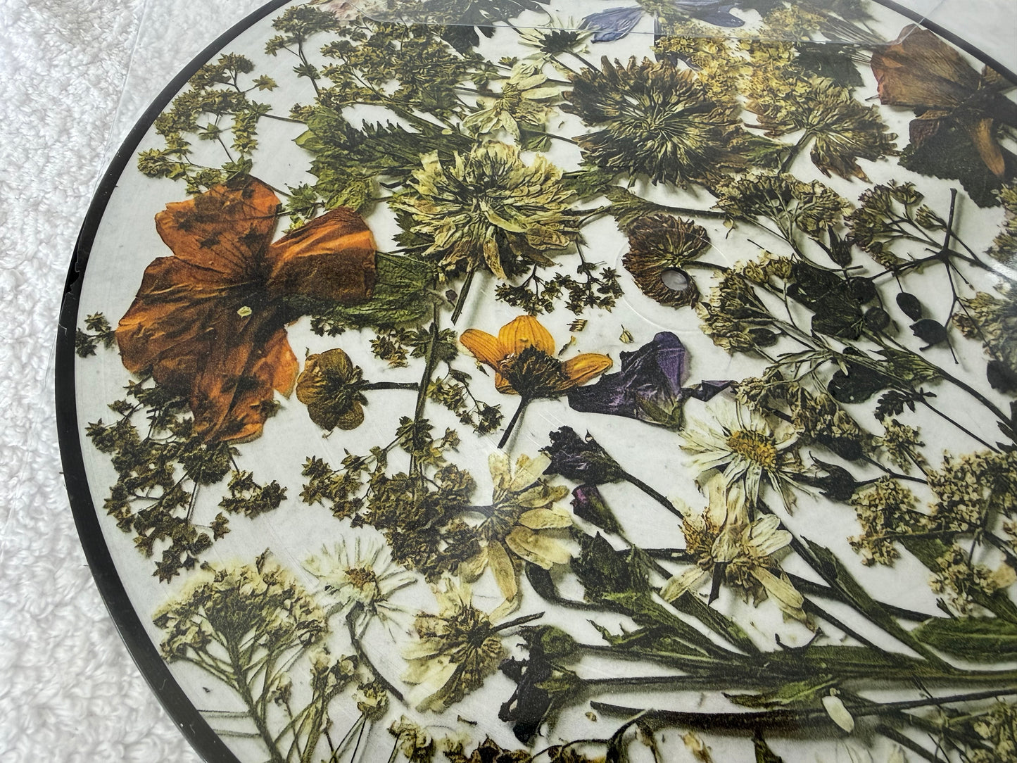 The Last Dinner Party – Prelude To Ecstasy : Picture Disc Signed : LP