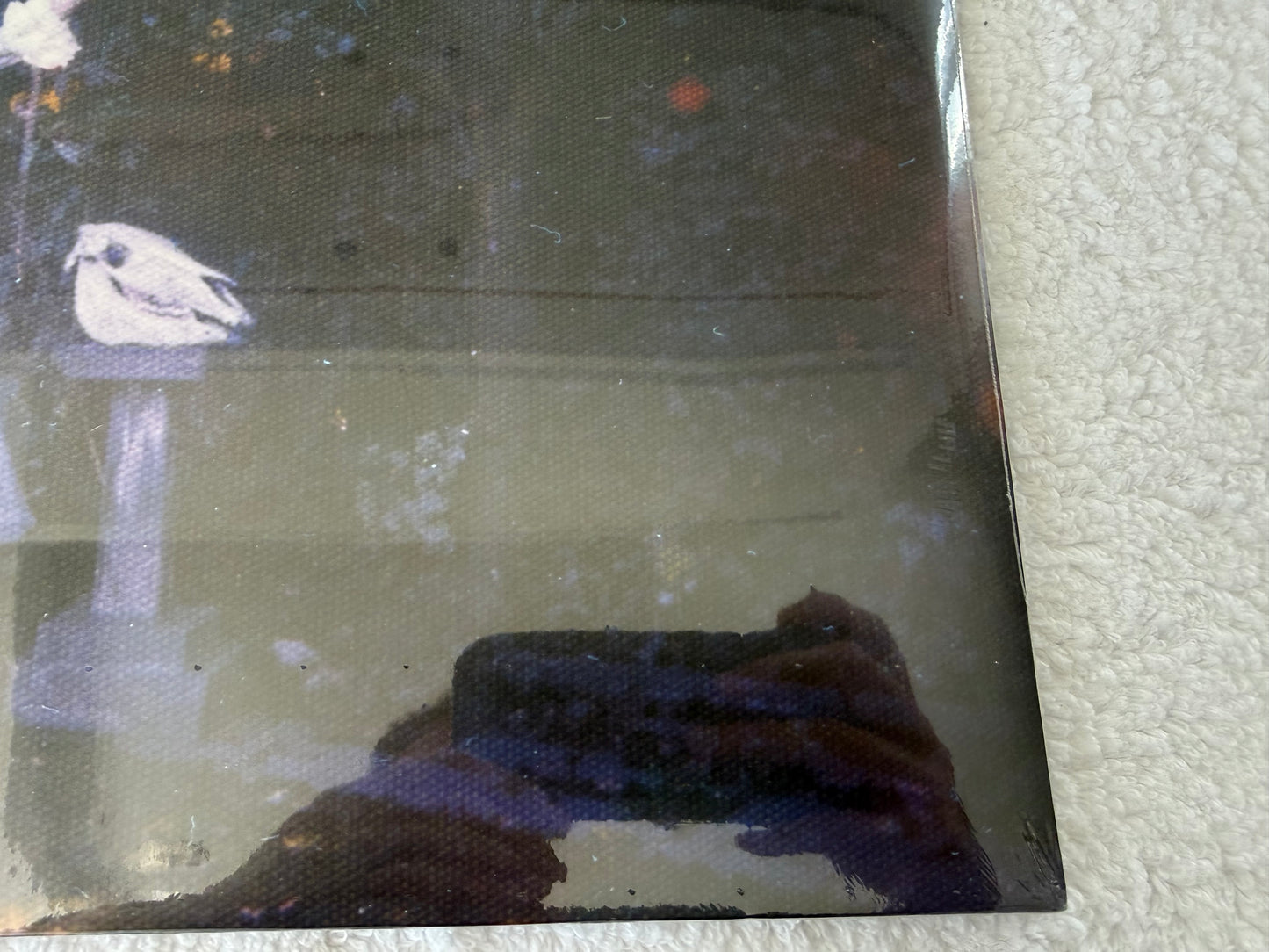 Wolf Alice – Visions Of A Life : Signed : LP