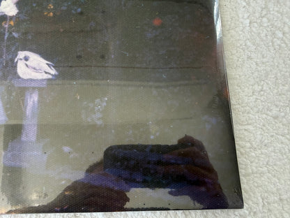 Wolf Alice – Visions Of A Life : Signed : LP