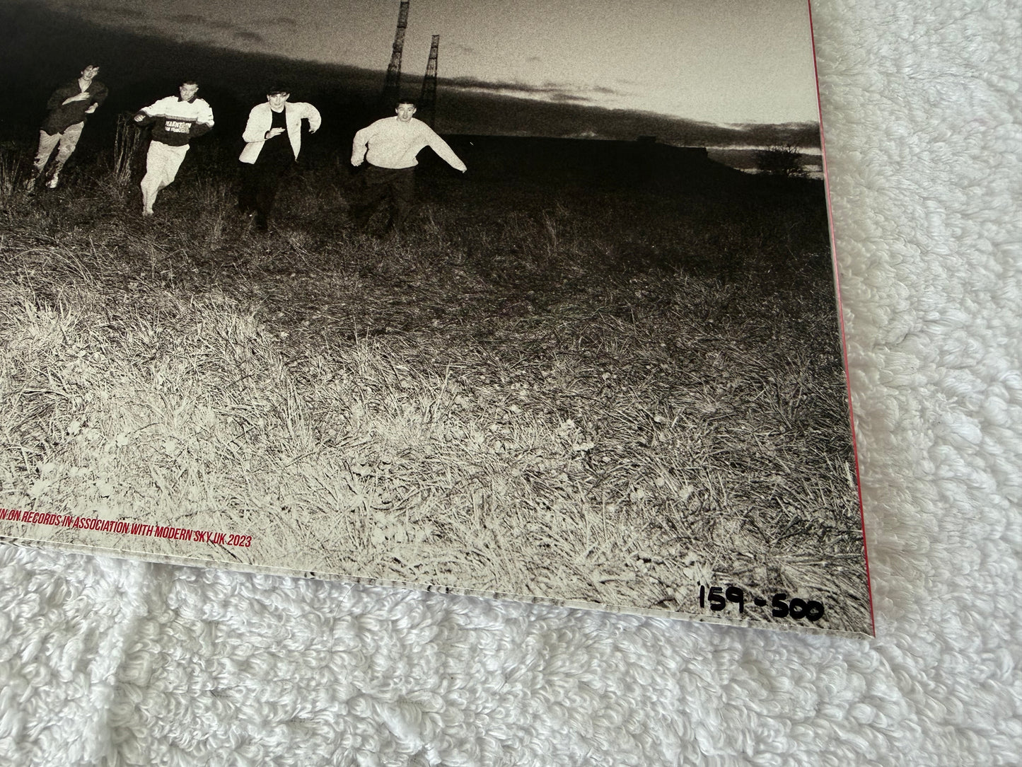 The Royston Club – Shaking Hips And Crashing Cars : LP : Signed