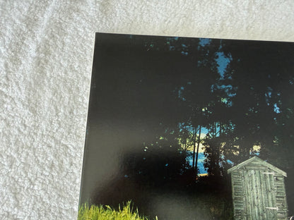 Frank Carter & The Rattlesnakes – Dark Rainbow : LP