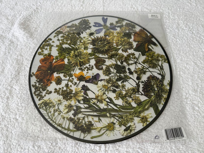 The Last Dinner Party – Prelude To Ecstasy : Picture Disc Signed : LP