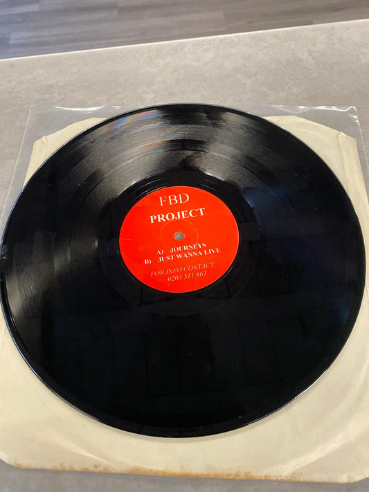 FBD Project - Journeys / Just Wanna Live 12” EX
