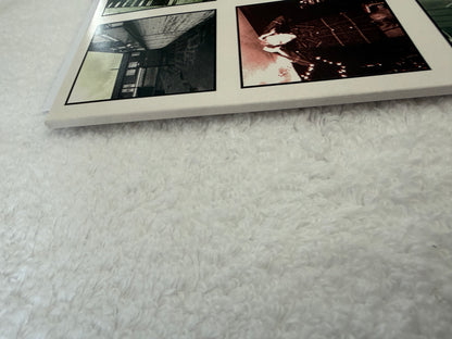Stanleys – The Gallery : LP