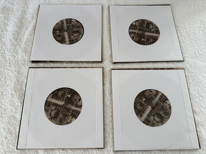 Wolf Alice – You're A Germ : Full Set : 7”