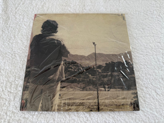 Wolf Alice – Space & Time / Formidable Cool : 7”