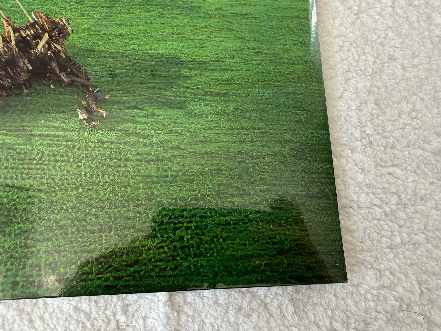 Squid – Bright Green Field : LP