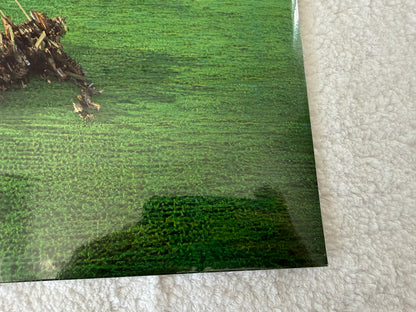 Squid – Bright Green Field : LP