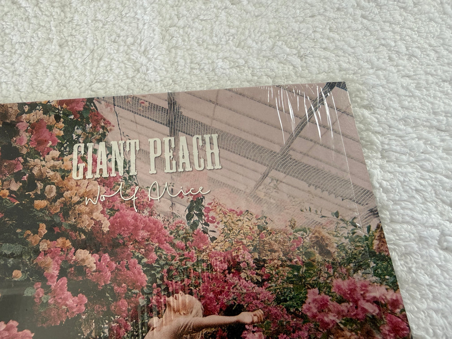 Wolf Alice – Giant Peach : 7”