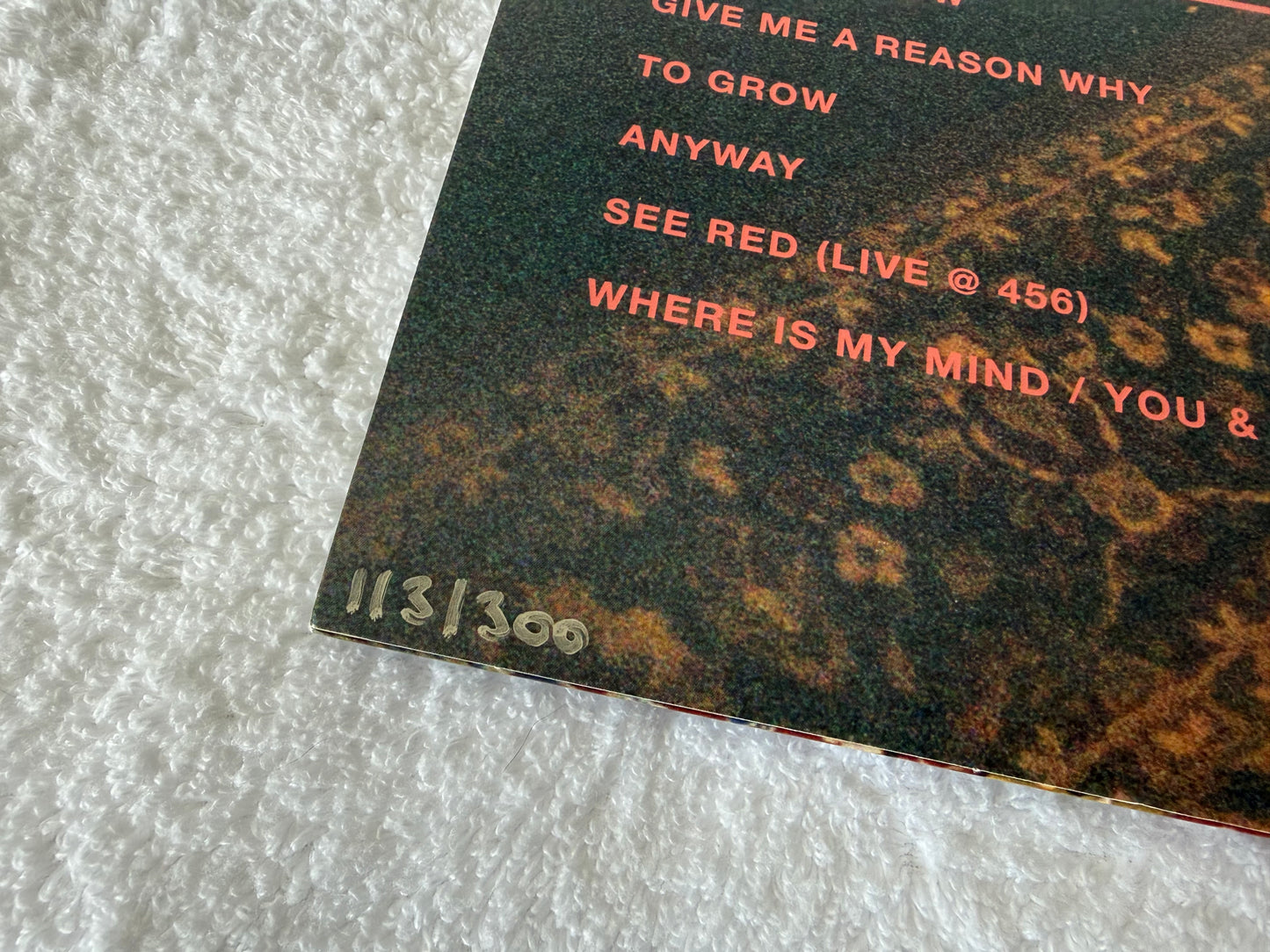 Swim School – Duality & Seeing It Now : LP
