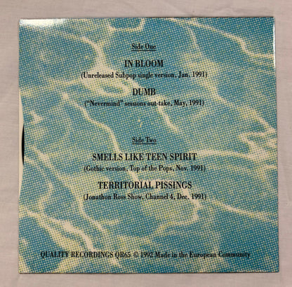 Nirvana - Rags To Riches 7”