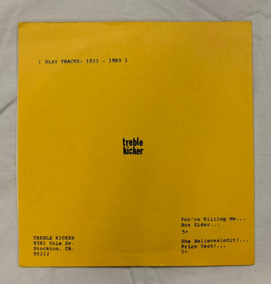 Payement - Treble Kicker White Label 7”