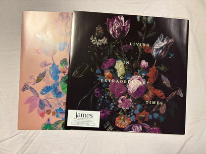 James= Living In Extraordinary Times (Signed)