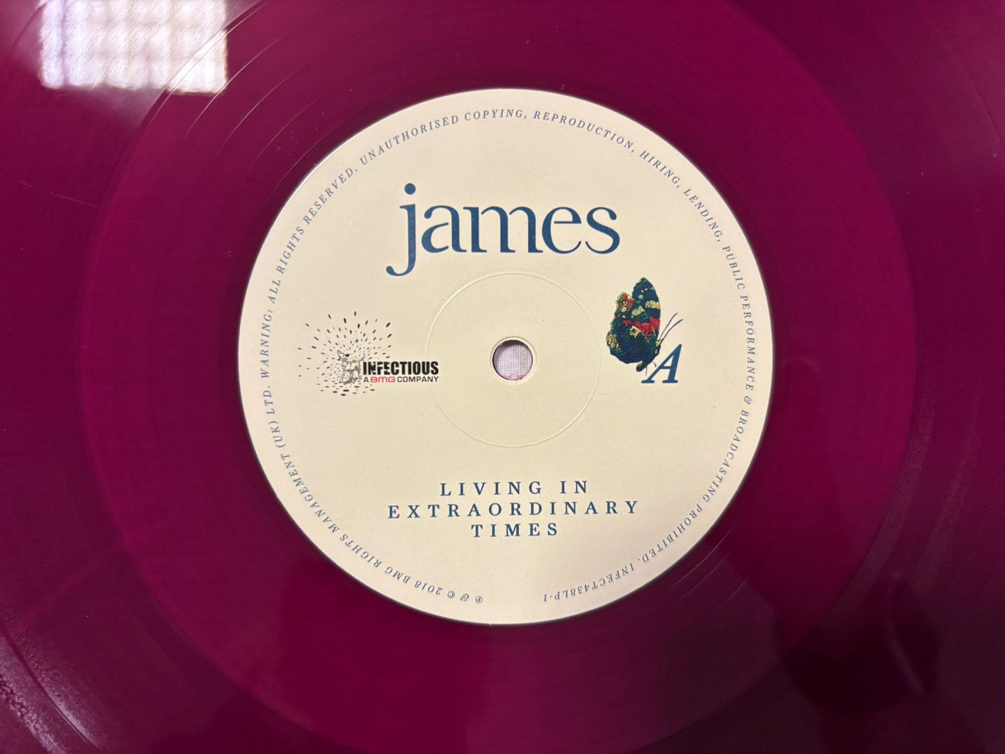 James= Living In Extraordinary Times (Signed)