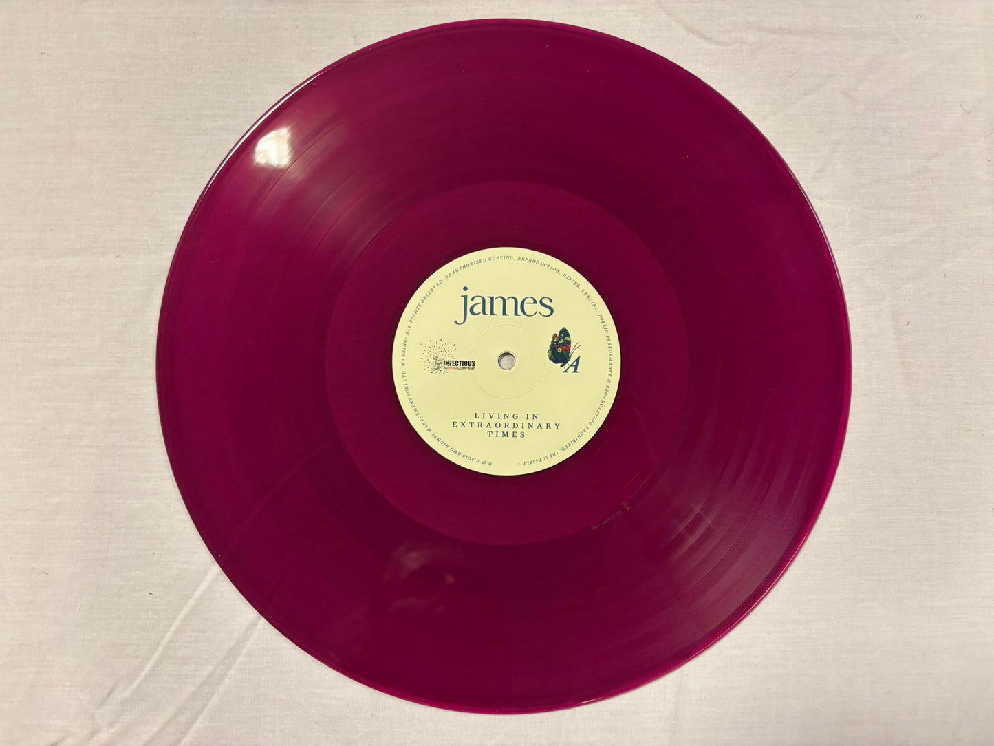 James= Living In Extraordinary Times (Signed)