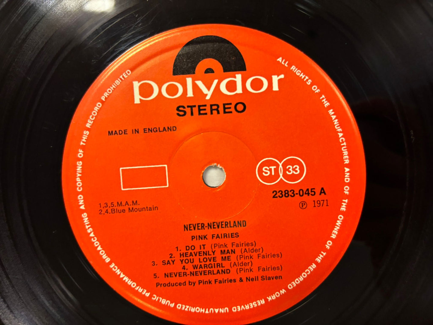 Pink Fairies- NeverNever land