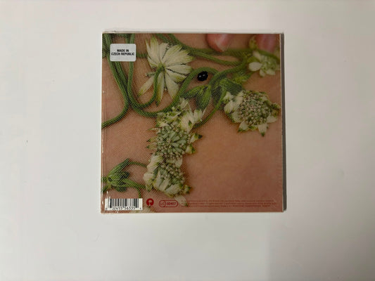 The Last Dinner Party- Nothing Matters