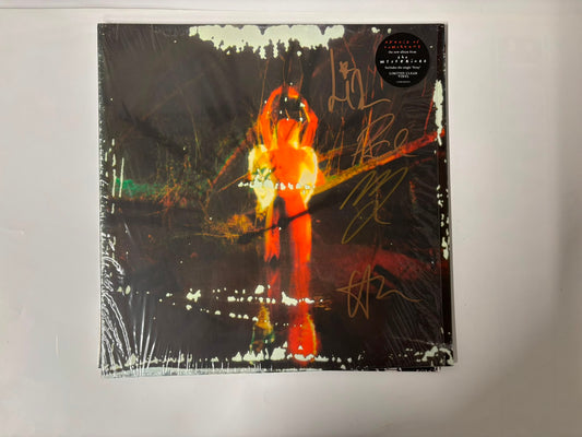 The Mysterines - Afraid of tomorrows : Signed