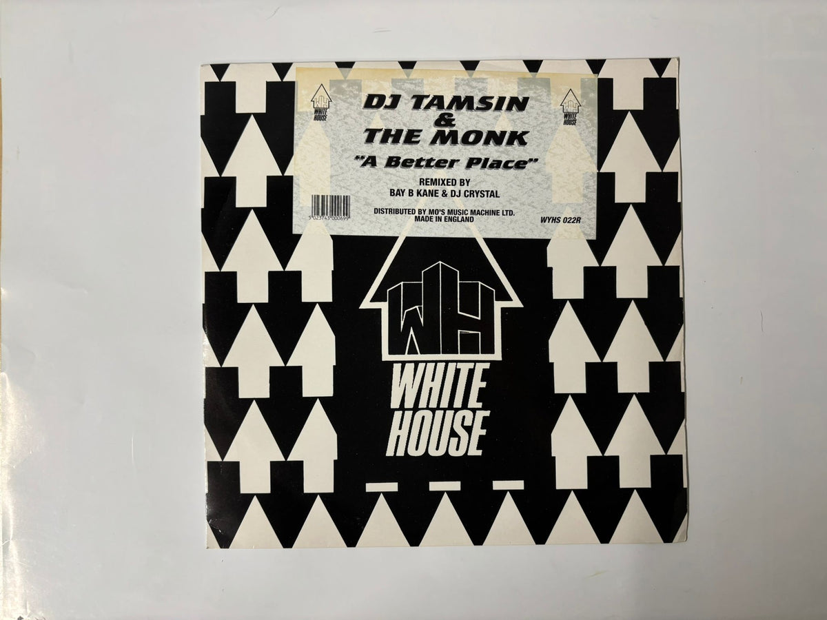 DJ tamsin and the monk - A better place :12"