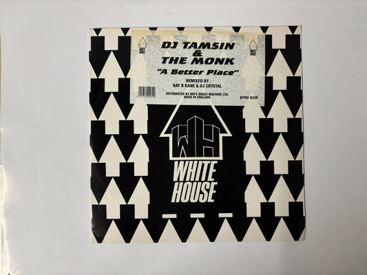 DJ tamsin and the monk - A better place :12"