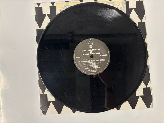 DJ tamsin and the monk - A better place :12"