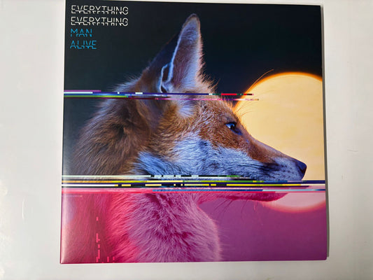Everything Everything : Man Alive OG Double LP