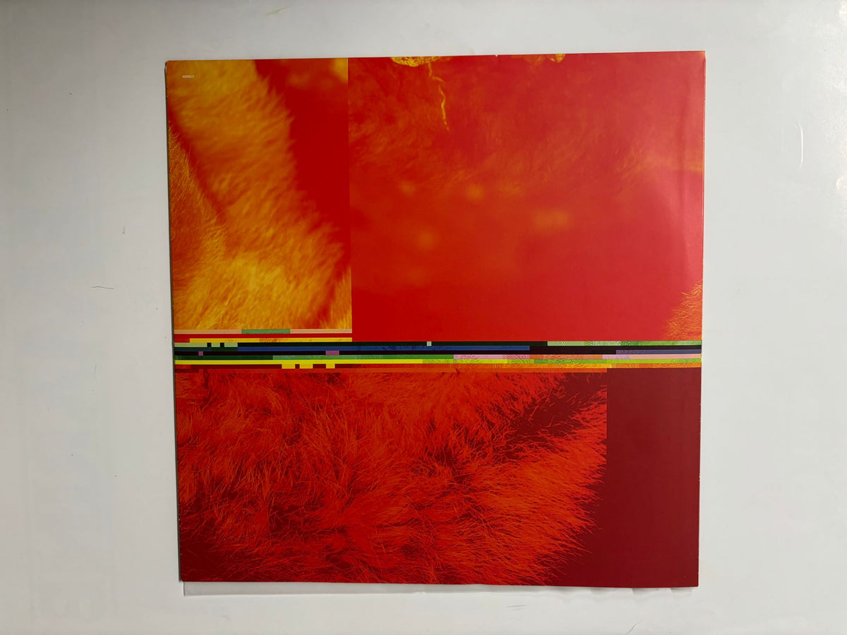 Everything Everything : Man Alive OG Double LP