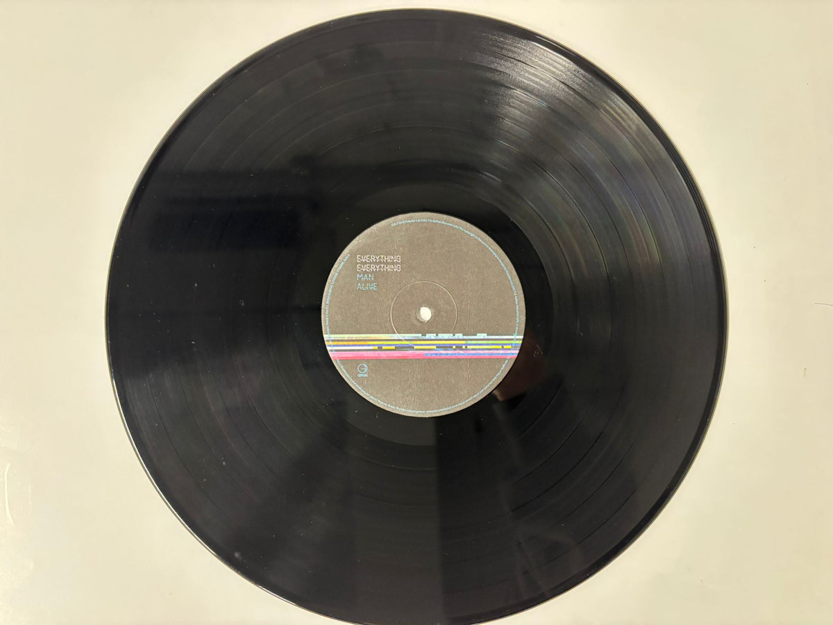 Everything Everything : Man Alive OG Double LP