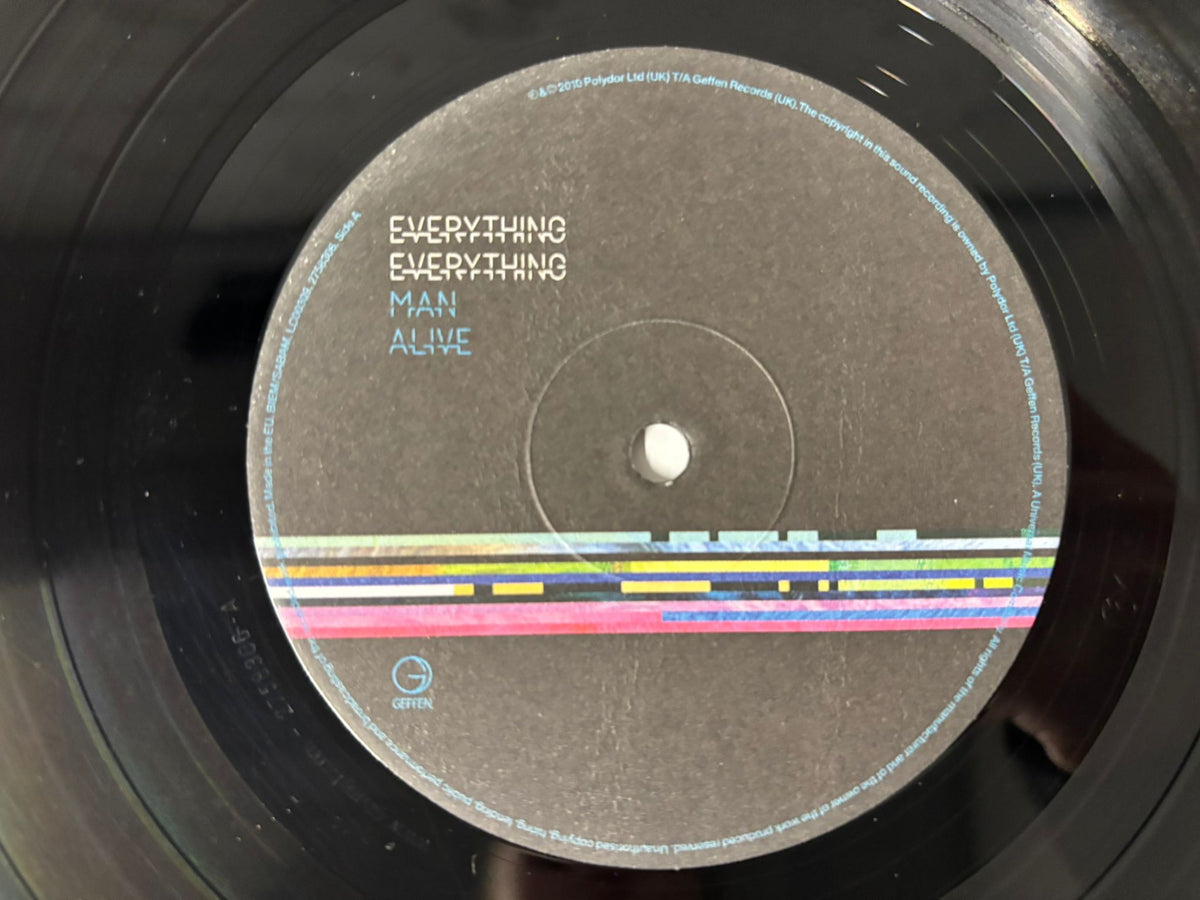 Everything Everything : Man Alive OG Double LP