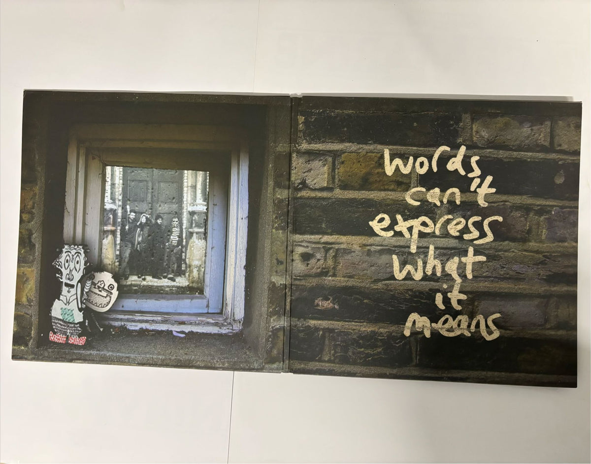 Guillemots- Through The Windowpane OG Dbl LP