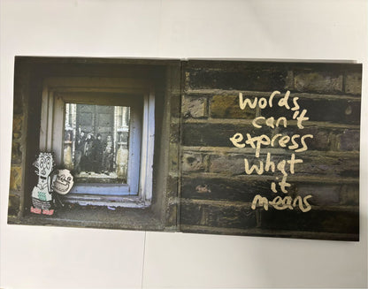 Guillemots- Through The Windowpane OG Dbl LP